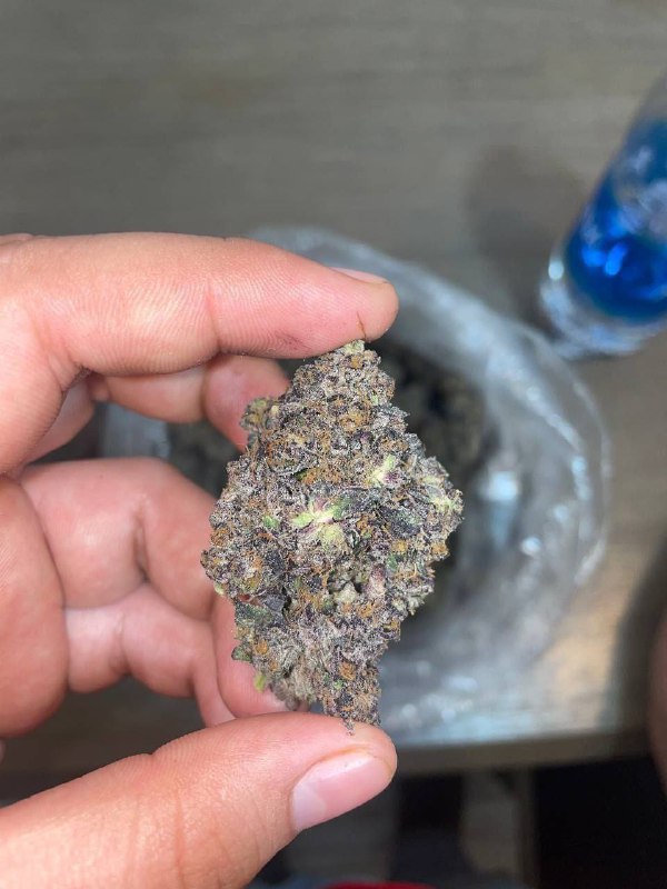 Apple fritters strain Apple fritters strain