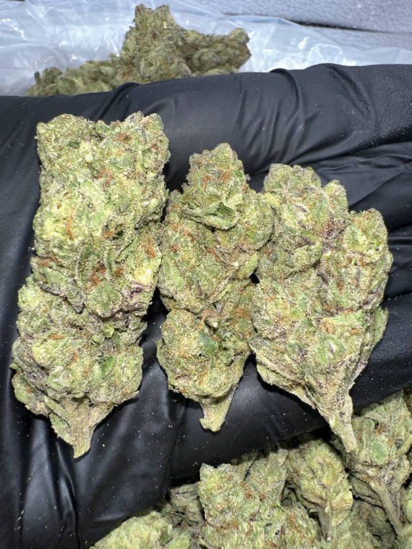 414f371b-65c8-4f99-a070-5f850bca689b