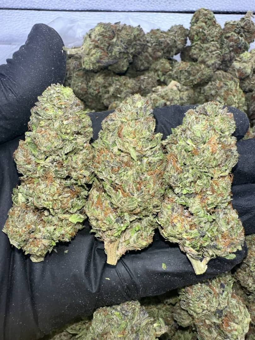 Jungle Cake Marijuana Strain