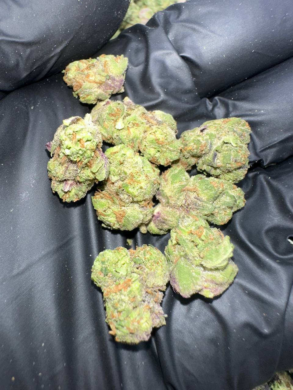 591178e5-f254-4038-989b-c595526cd228