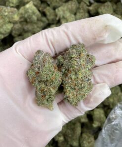 Blackberry Marijuana Strain