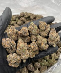 Buy lemon cherry gelato in UK